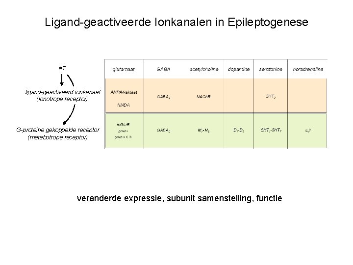 Ligand-geactiveerde Ionkanalen in Epileptogenese NT ligand-geactiveerd ionkanaal (ionotrope receptor) G-protëine gekoppelde receptor (metabotrope receptor)