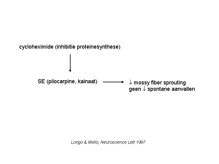 cycloheximide (inhibitie proteinesynthese) SE (pilocarpine, kainaat) mossy fiber sprouting geen spontane aanvallen Longo &
