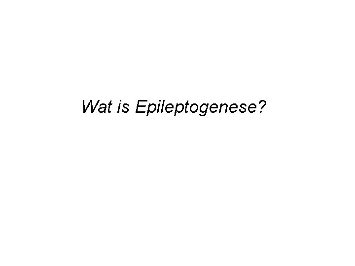 Wat is Epileptogenese? 