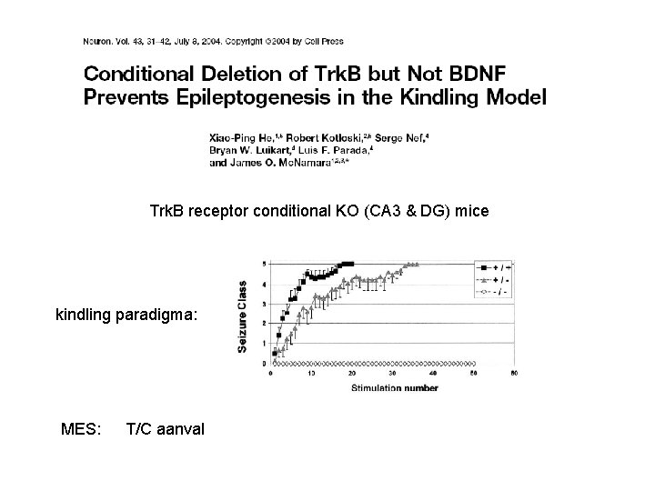 Trk. B receptor conditional KO (CA 3 & DG) mice kindling paradigma: MES: T/C
