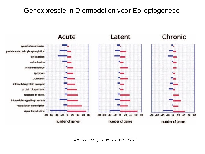 Genexpressie in Diermodellen voor Epileptogenese Aronica et al. , Neuroscientist 2007 