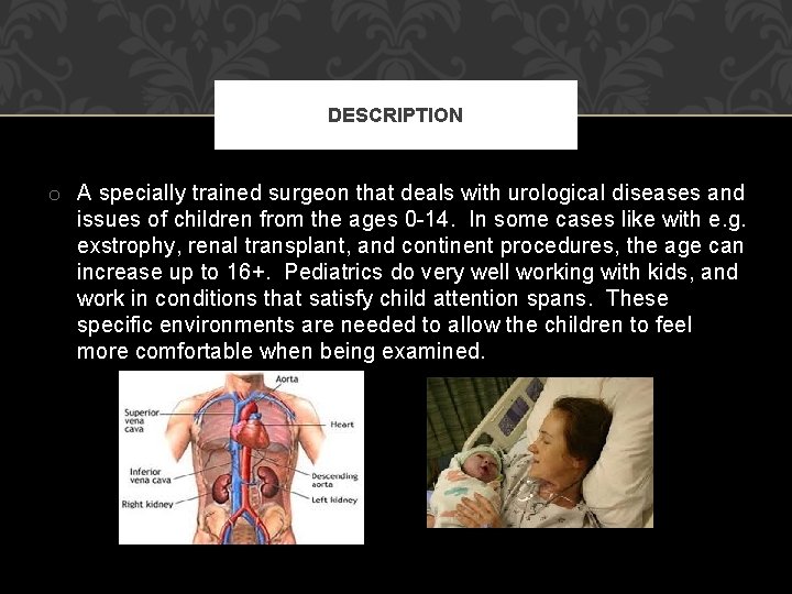 DESCRIPTION o A specially trained surgeon that deals with urological diseases and issues of