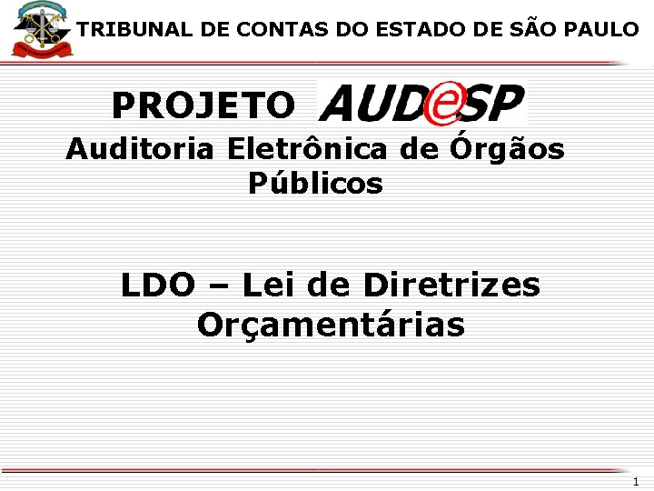 X TRIBUNAL DE CONTAS DO ESTADO DE SÃO PAULO PROJETO Auditoria Eletrônica de Órgãos