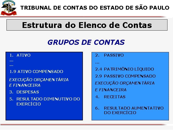 X TRIBUNAL DE CONTAS DO ESTADO DE SÃO PAULO Estrutura do Elenco de Contas