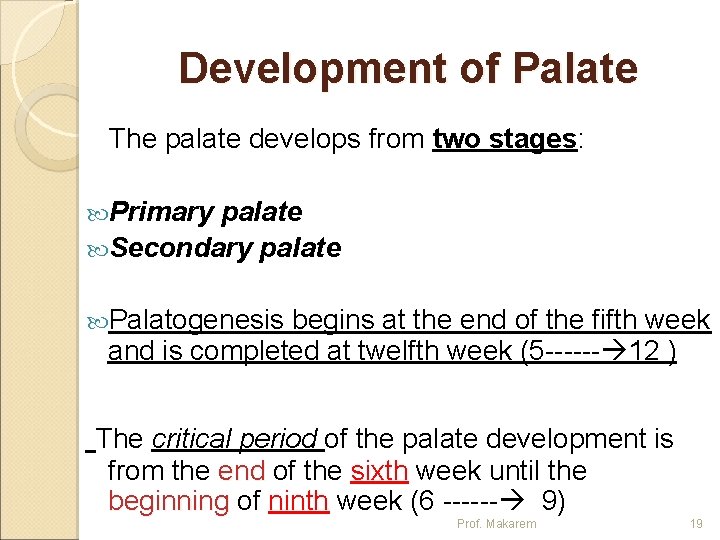 Development of Palate The palate develops from two stages: Primary palate Secondary palate Palatogenesis