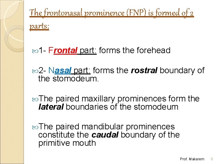 The frontonasal prominence (FNP) is formed of 2 parts: 1 - Frontal part: forms