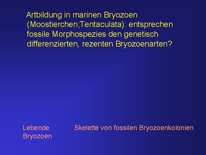 Artbildung in marinen Bryozoen (Moostierchen; Tentaculata): entsprechen fossile Morphospezies den genetisch differenzierten, rezenten Bryozoenarten?