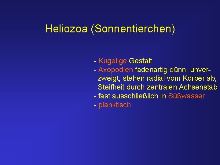 Heliozoa (Sonnentierchen) - Kugelige Gestalt - Axopodien fadenartig dünn, unverzweigt, stehen radial vom Körper