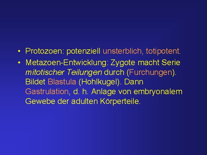  • Protozoen: potenziell unsterblich, totipotent. • Metazoen-Entwicklung: Zygote macht Serie mitotischer Teilungen durch