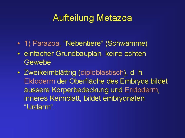 Aufteilung Metazoa • 1) Parazoa, “Nebentiere” (Schwämme) • einfacher Grundbauplan, keine echten Gewebe •