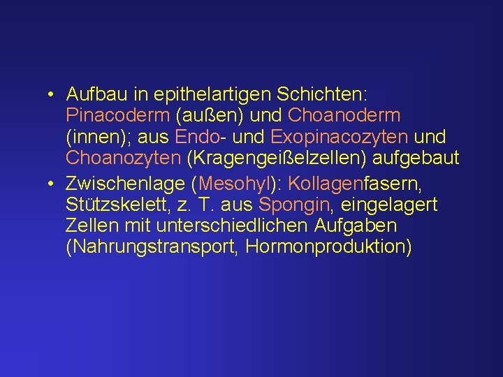  • Aufbau in epithelartigen Schichten: Pinacoderm (außen) und Choanoderm (innen); aus Endo- und