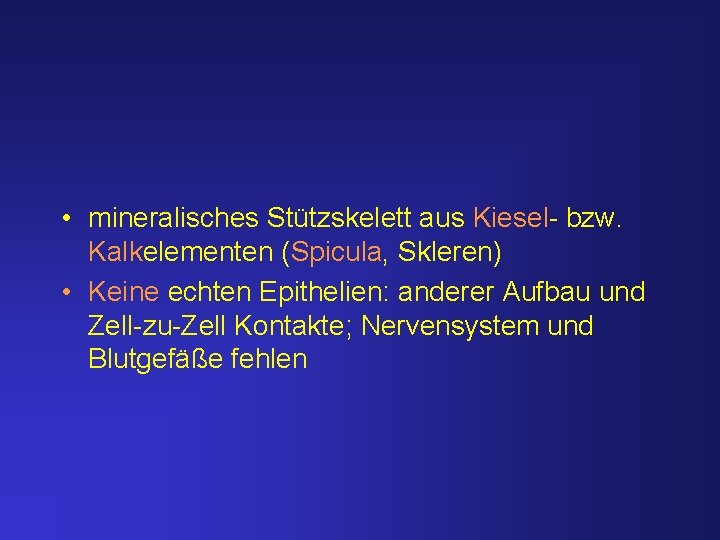  • mineralisches Stützskelett aus Kiesel- bzw. Kalkelementen (Spicula, Skleren) • Keine echten Epithelien: