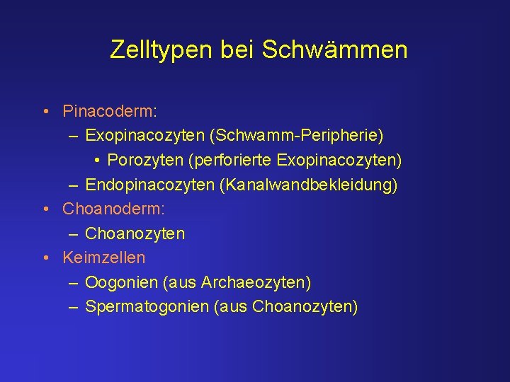 Zelltypen bei Schwämmen • Pinacoderm: – Exopinacozyten (Schwamm-Peripherie) • Porozyten (perforierte Exopinacozyten) – Endopinacozyten