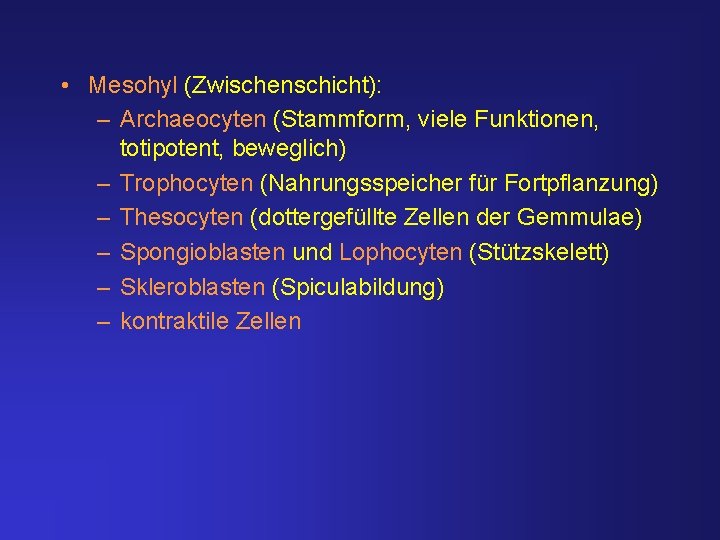  • Mesohyl (Zwischenschicht): – Archaeocyten (Stammform, viele Funktionen, totipotent, beweglich) – Trophocyten (Nahrungsspeicher