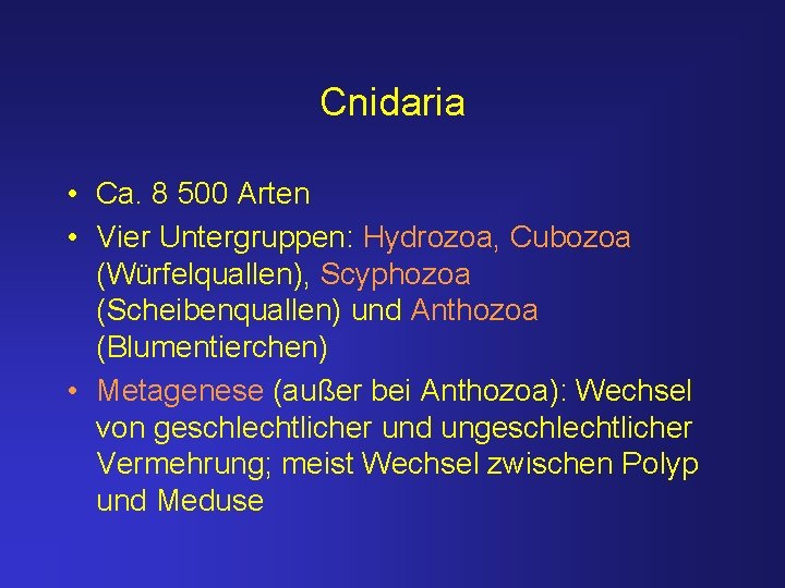 Cnidaria • Ca. 8 500 Arten • Vier Untergruppen: Hydrozoa, Cubozoa (Würfelquallen), Scyphozoa (Scheibenquallen)