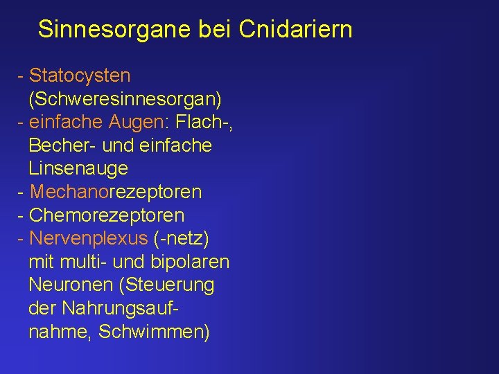 Sinnesorgane bei Cnidariern - Statocysten (Schweresinnesorgan) - einfache Augen: Flach-, Becher- und einfache Linsenauge