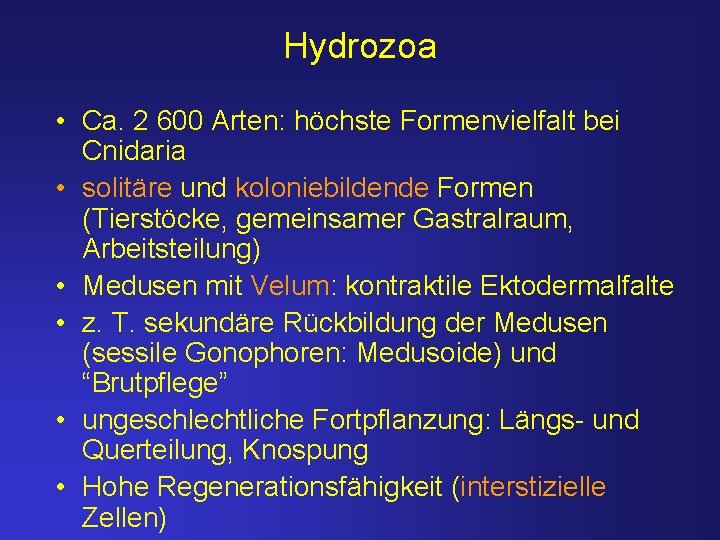 Hydrozoa • Ca. 2 600 Arten: höchste Formenvielfalt bei Cnidaria • solitäre und koloniebildende