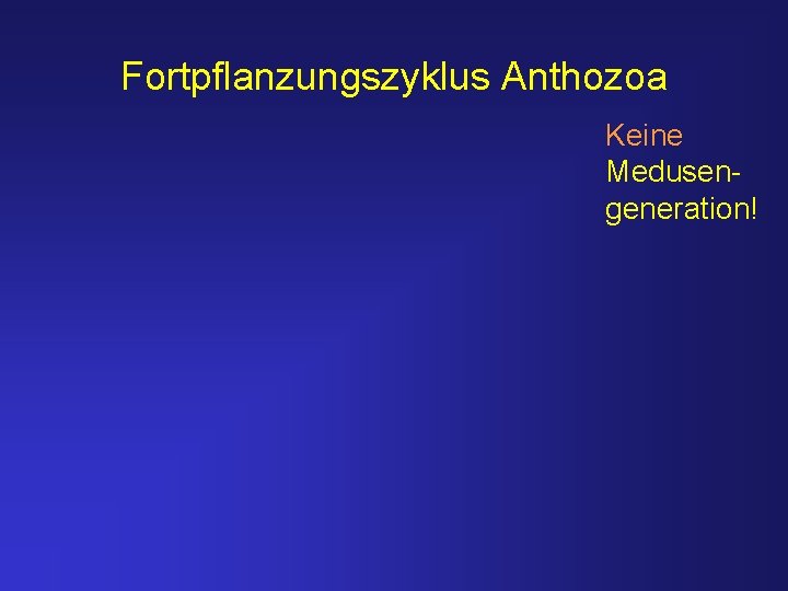 Fortpflanzungszyklus Anthozoa Keine Medusengeneration! 