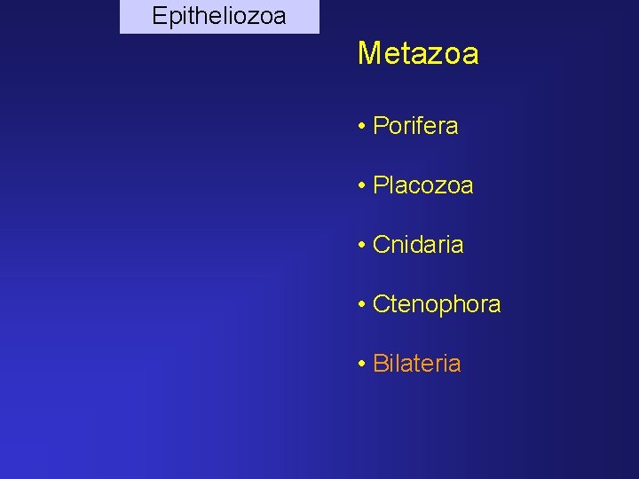 Epitheliozoa Metazoa • Porifera • Placozoa • Cnidaria • Ctenophora • Bilateria 