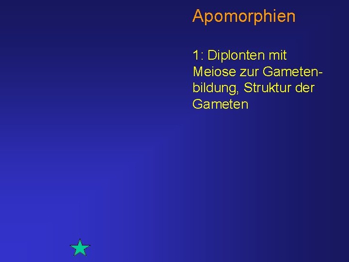 Apomorphien 1: Diplonten mit Meiose zur Gametenbildung, Struktur der Gameten 