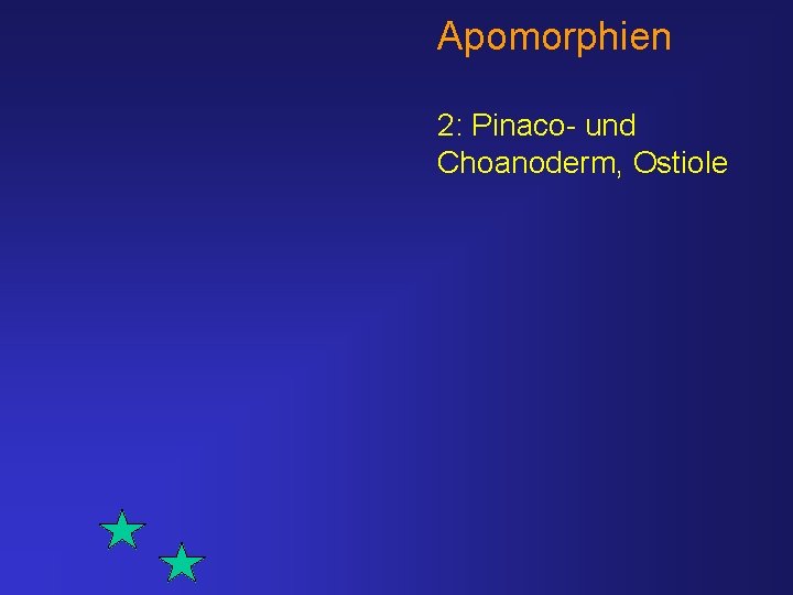 Apomorphien 2: Pinaco- und Choanoderm, Ostiole 