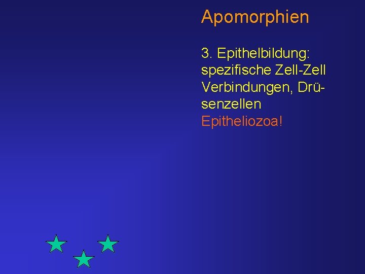 Apomorphien 3. Epithelbildung: spezifische Zell-Zell Verbindungen, Drüsenzellen Epitheliozoa! 