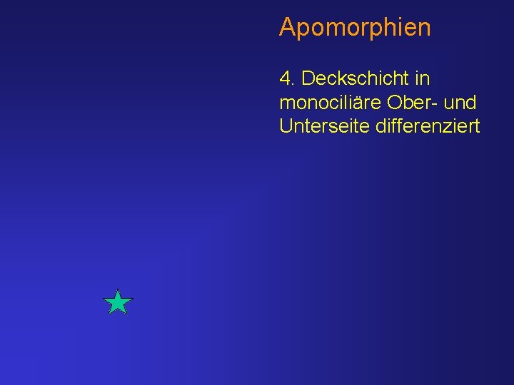 Apomorphien 4. Deckschicht in monociliäre Ober- und Unterseite differenziert 