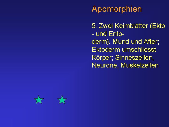 Apomorphien 5. Zwei Keimblätter (Ekto - und Entoderm). Mund After; Ektoderm umschliesst Körper; Sinneszellen,