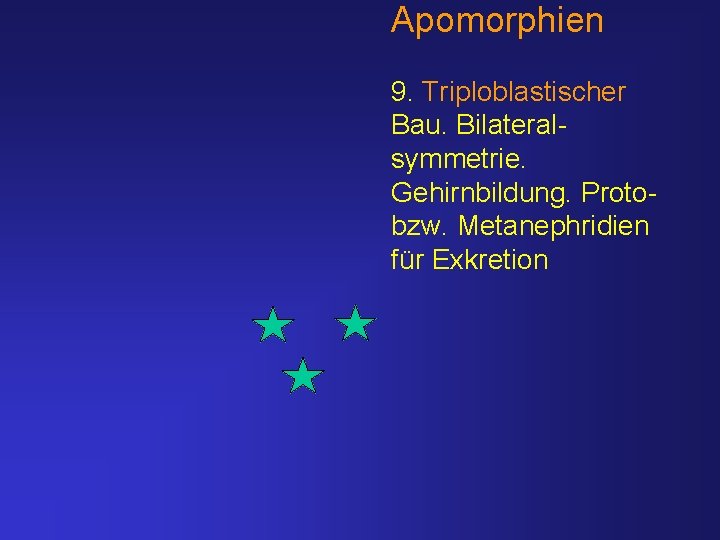 Apomorphien 9. Triploblastischer Bau. Bilateralsymmetrie. Gehirnbildung. Protobzw. Metanephridien für Exkretion 