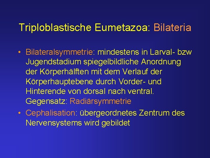 Triploblastische Eumetazoa: Bilateria • Bilateralsymmetrie: mindestens in Larval- bzw Jugendstadium spiegelbildliche Anordnung der Körperhälften