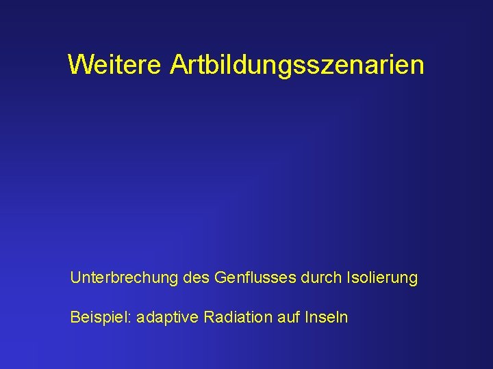 Weitere Artbildungsszenarien Unterbrechung des Genflusses durch Isolierung Beispiel: adaptive Radiation auf Inseln 