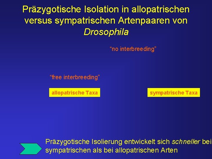 Präzygotische Isolation in allopatrischen versus sympatrischen Artenpaaren von Drosophila “no interbreeding” “free interbreeding” allopatrische