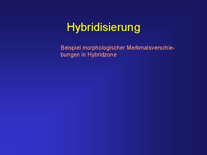 Hybridisierung Beispiel morphologischer Merkmalsverschiebungen in Hybridzone 