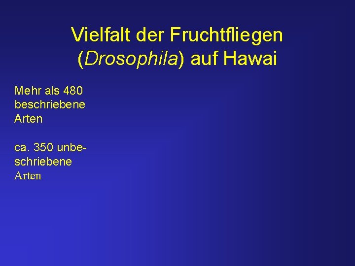 Vielfalt der Fruchtfliegen (Drosophila) auf Hawai Mehr als 480 beschriebene Arten ca. 350 unbeschriebene