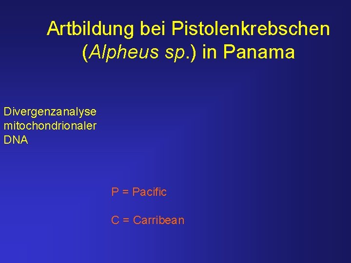 Artbildung bei Pistolenkrebschen (Alpheus sp. ) in Panama Divergenzanalyse mitochondrionaler DNA P = Pacific