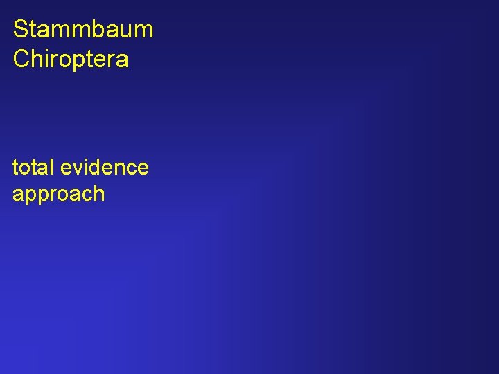Stammbaum Chiroptera total evidence approach 