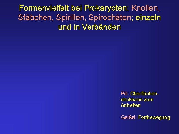 Formenvielfalt bei Prokaryoten: Knollen, Stäbchen, Spirillen, Spirochäten; einzeln und in Verbänden Pili: Oberflächenstrukturen zum