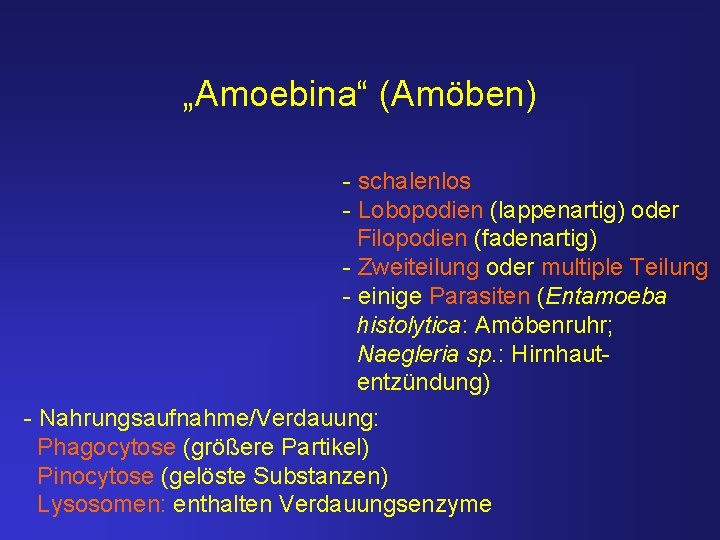„Amoebina“ (Amöben) - schalenlos - Lobopodien (lappenartig) oder Filopodien (fadenartig) - Zweiteilung oder multiple
