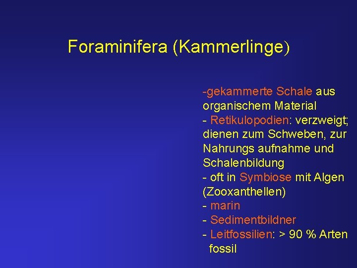 Foraminifera (Kammerlinge) -gekammerte Schale aus organischem Material - Retikulopodien: verzweigt; dienen zum Schweben, zur