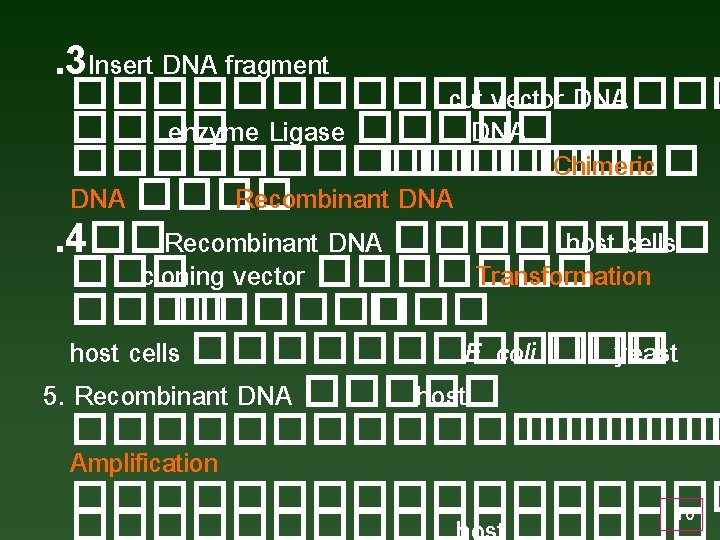 . 3 Insert DNA fragment ��������� cut vector DNA ���� enzyme Ligase ����� DNA