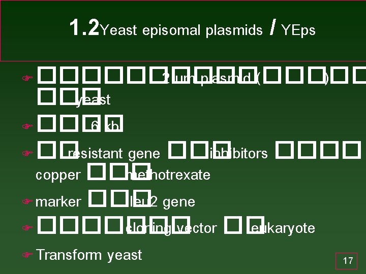 1. 2 Yeast episomal plasmids / YEps ����� 2 um plasmid (����� ) ���