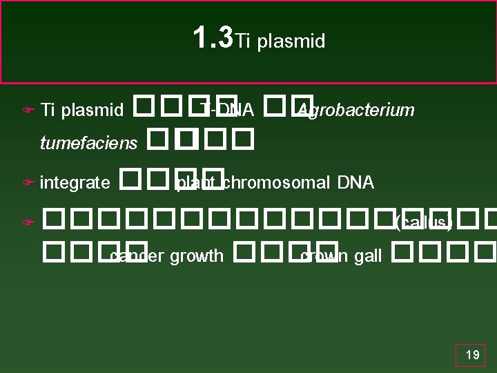 1. 3 Ti plasmid ���� T-DNA �� Agrobacterium tumefaciens �� ��� F integrate ����