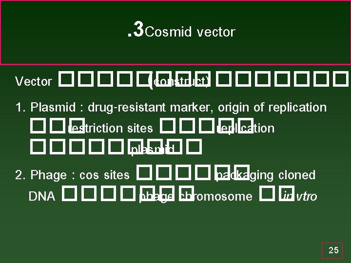 . 3 Cosmid vector Vector ���� (construct) ���� 1. Plasmid : drug-resistant marker, origin