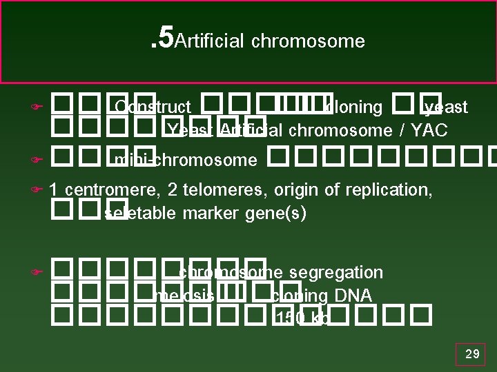 . 5 Artificial chromosome ���� Construct ����� ��cloning �� yeast ���� Yeast Artificial chromosome