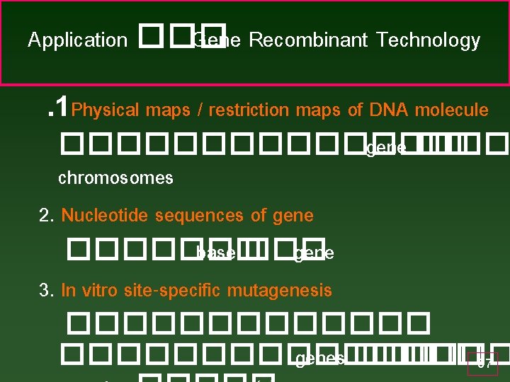 Application ��� Gene Recombinant Technology . 1 Physical maps / restriction maps of DNA