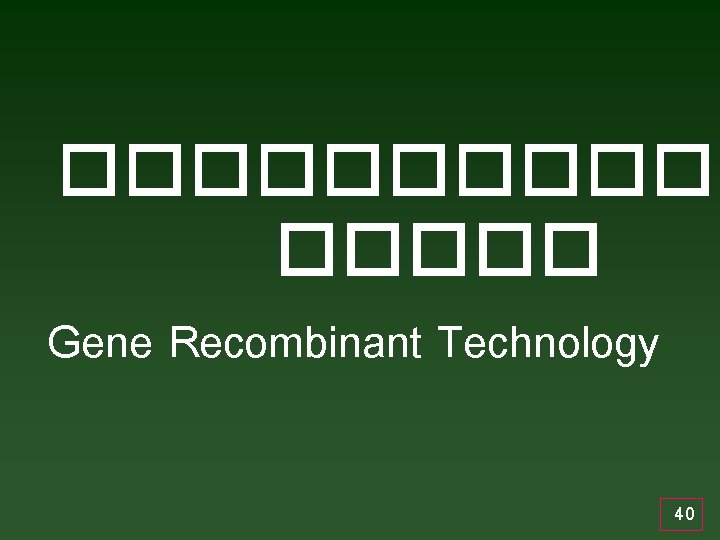 ������ Gene Recombinant Technology 40 