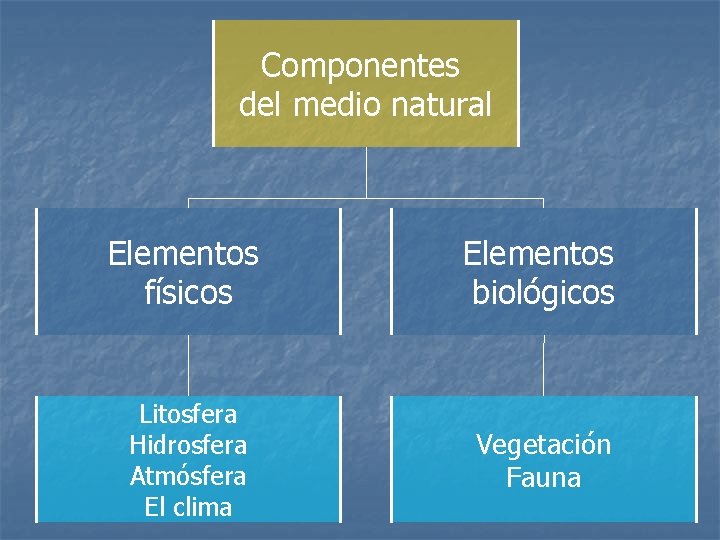 Componentes del medio natural Elementos físicos Elementos biológicos Litosfera Hidrosfera Atmósfera El clima Vegetación
