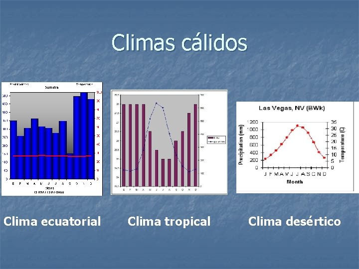 Climas cálidos Clima ecuatorial Clima tropical Clima desértico 