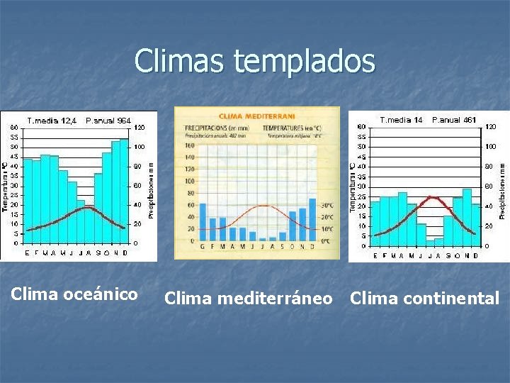 Climas templados Clima oceánico Clima mediterráneo Clima continental 