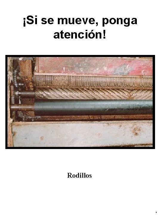 ¡Si se mueve, ponga atención! Rodillos 6 